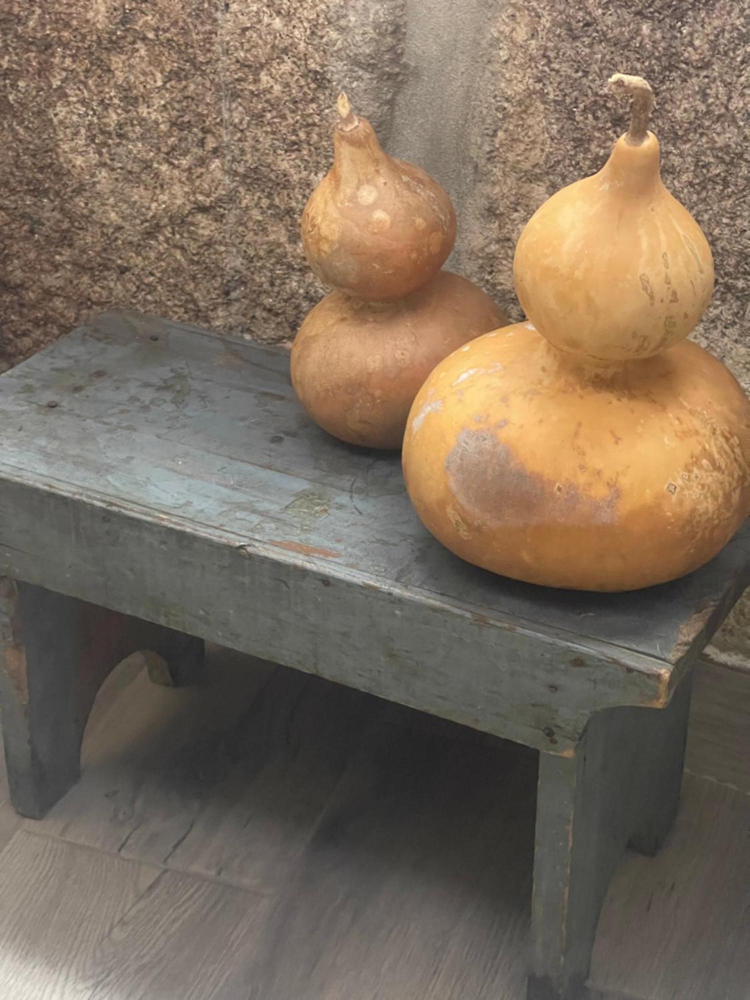 فيلا Casa Da Burra Alijó المظهر الخارجي الصورة